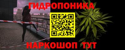 шишки Заводоуковск